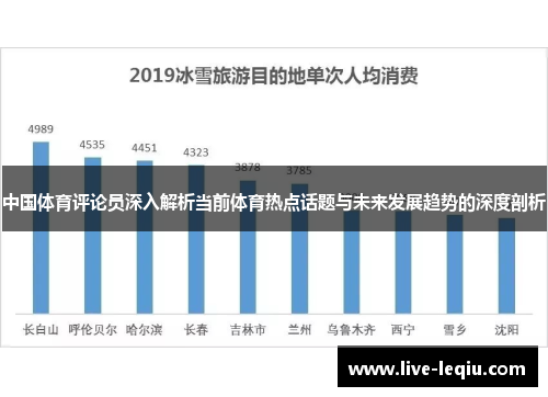 中国体育评论员深入解析当前体育热点话题与未来发展趋势的深度剖析