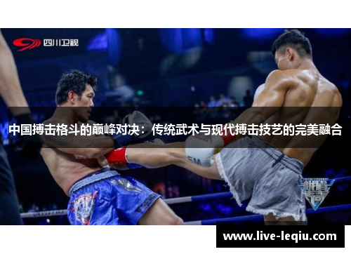 中国搏击格斗的巅峰对决：传统武术与现代搏击技艺的完美融合